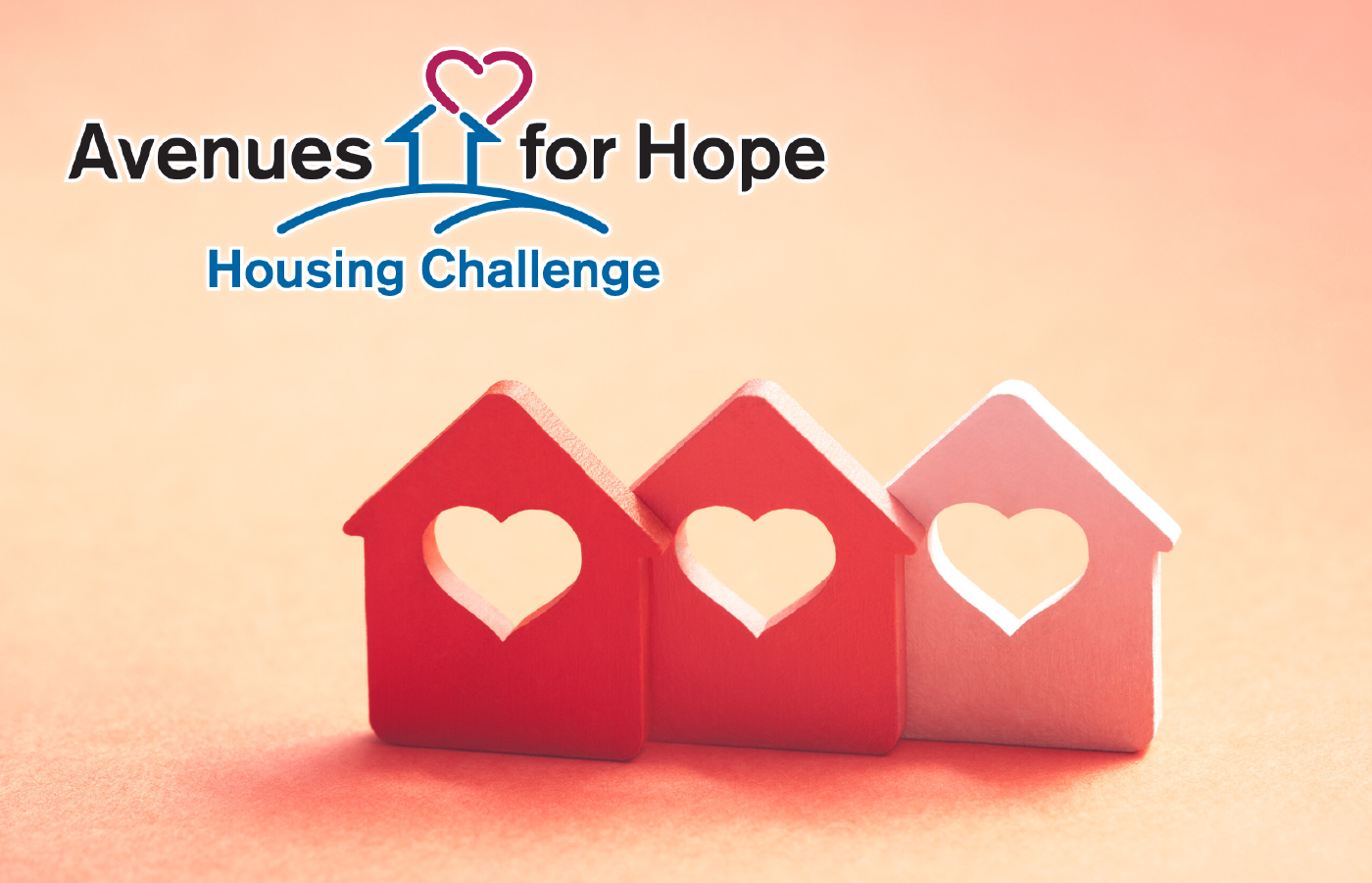 You are currently viewing Successful First week of Avenues for Hope